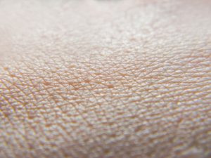 Human skin macro photo